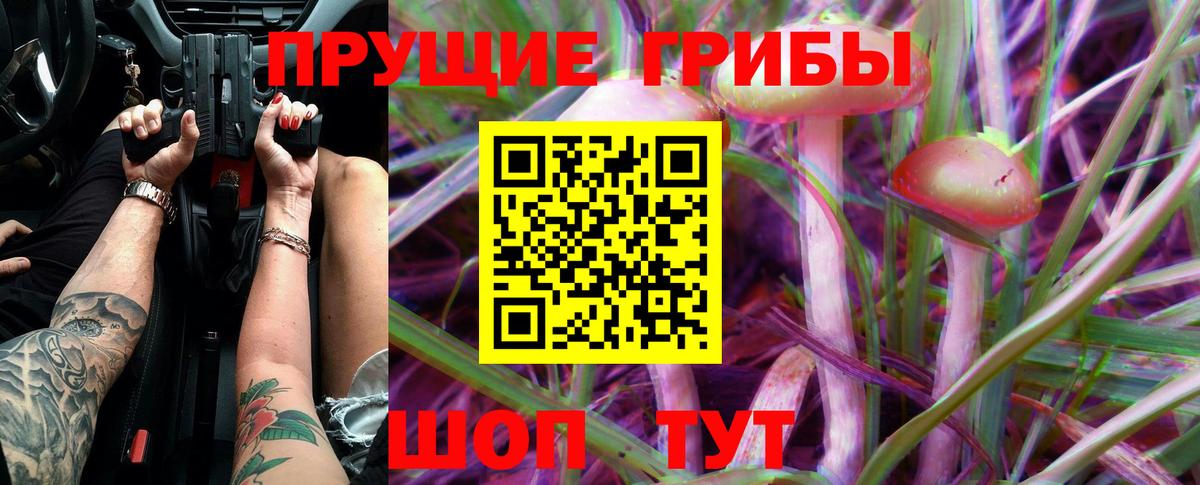 Галлюциногенные грибы Magic Shrooms  Ачхой-Мартан 